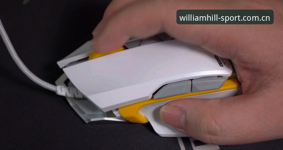 WILLIAMHILL体育网页版CN焕新版使用评测：一次说清更新点与上手细节